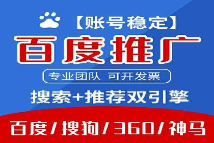 某电商平台的SEM运营实战与效果分析